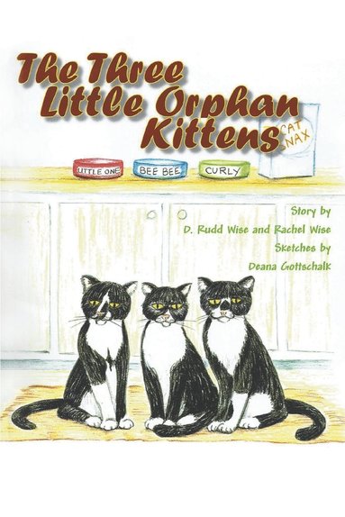 bokomslag Three Little Orphan Kittens