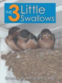 bokomslag The 3 Little Swallows