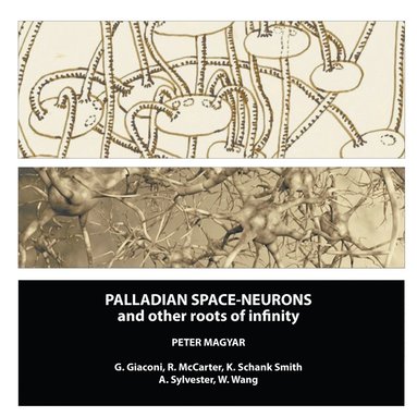 bokomslag Palladian Space-Neurons and other Roots of Infinity