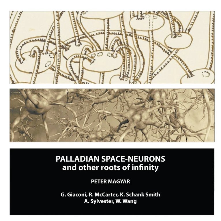 Palladian Space-Neurons and other Roots of Infinity 1