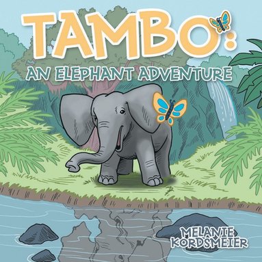 bokomslag Tambo