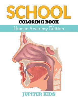bokomslag School Coloring Book