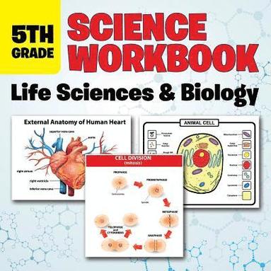bokomslag 5th Grade Science Workbook