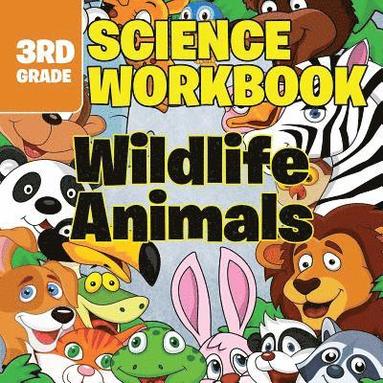 bokomslag 3rd Grade Science Workbooks