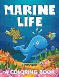 bokomslag Marine Life (A Coloring Book)