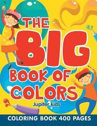 bokomslag Big Book of Colors
