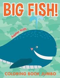 bokomslag Big Fish!
