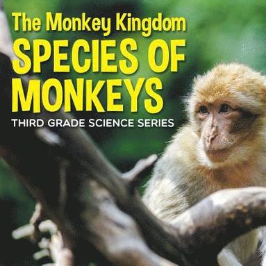 bokomslag Monkey Kingdom (Species of Monkeys)