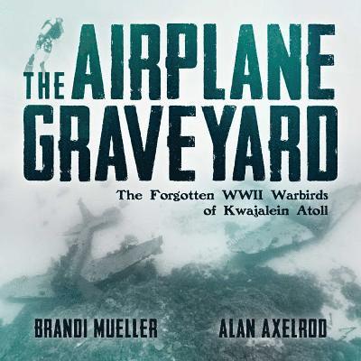 The Airplane Graveyard 1