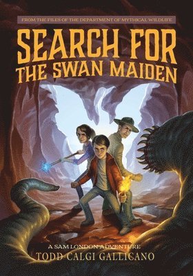 bokomslag Search for the Swan Maiden