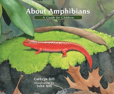 bokomslag About Amphibians