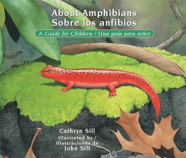 bokomslag About Amphibians/ Sobre Los Anfibios