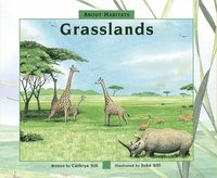 bokomslag Grasslands
