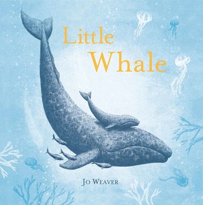 Jo Weaver - Little Whale, Inbunden