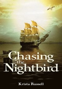 bokomslag Chasing the Nightbird