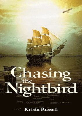 bokomslag Chasing the Nightbird