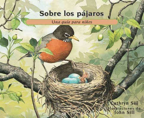 Sobre los p jaros
