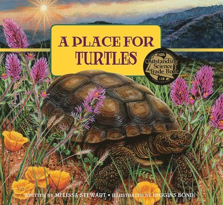 A Place for Turtles