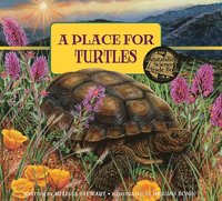 bokomslag A Place for Turtles