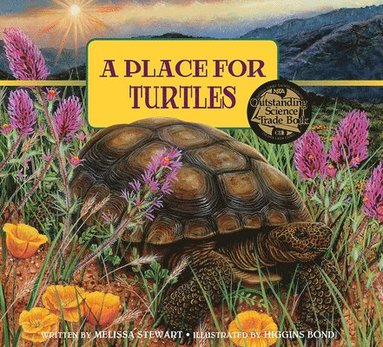 bokomslag A Place for Turtles