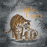 bokomslag Little Tigers