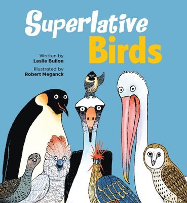 bokomslag Superlative Birds