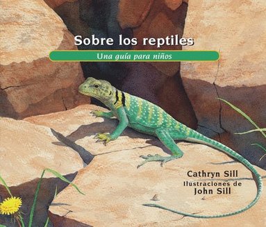 bokomslag Sobre los reptiles/ About Reptiles