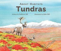 bokomslag Tundras