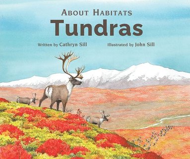 bokomslag Tundras