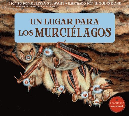 Un Lugar Para Los Murciélagos 1