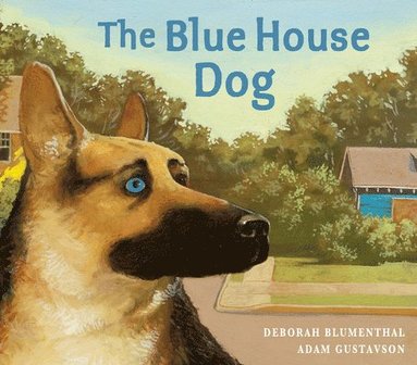 bokomslag Blue House Dog