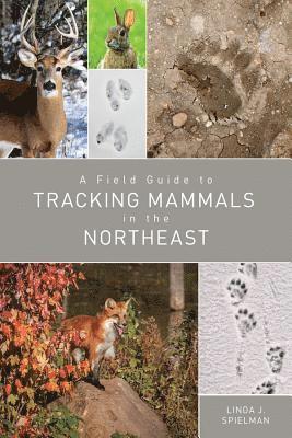 bokomslag A Field Guide to Tracking Mammals in the Northeast