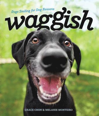 Waggish 1