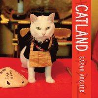 bokomslag Catland