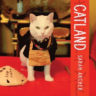 Catland 1