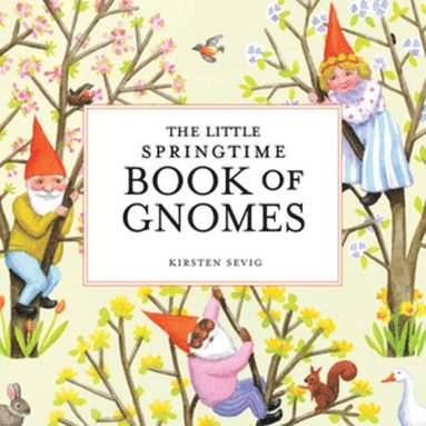 bokomslag Little Springtime Book of Gnomes
