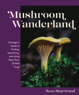 Mushroom Wanderland 1