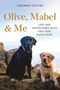 bokomslag Olive, Mabel & Me - Life And Adventures With Two Very Good Dogs