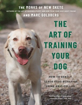The Art of Training Your Dog 1