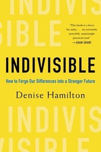 bokomslag Indivisible - How to Forge Our Differences into a Stronger Future