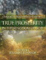 bokomslag A Balanced Teaching Concerning True Prosperity In the Kingdom of God