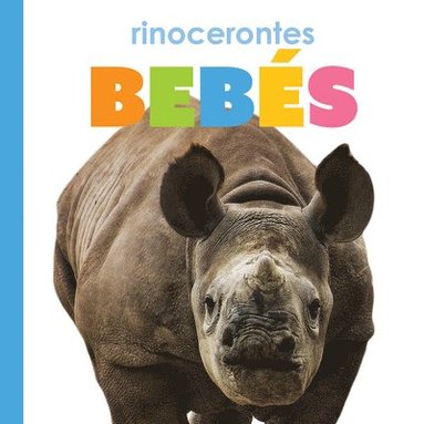bokomslag Rinocerontes Bebes