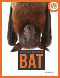 bokomslag Spotlight on Nature: Bat