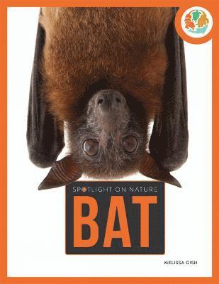 Spotlight on Nature: Bat 1