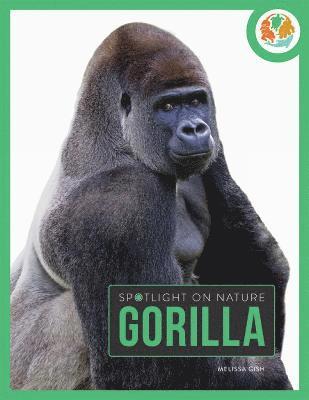 bokomslag Spotlight on Nature: Gorilla