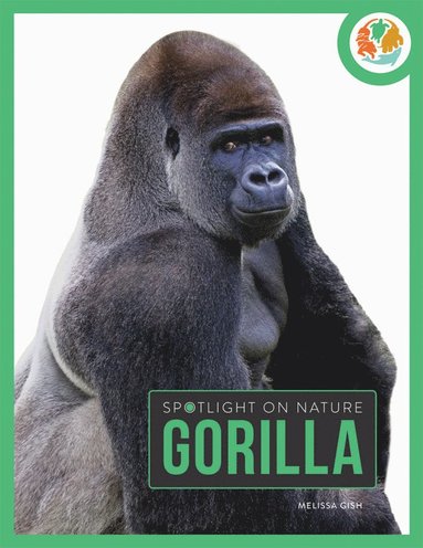 bokomslag Spotlight on Nature: Gorilla