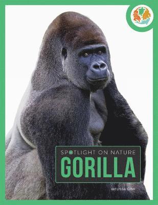 Spotlight on Nature: Gorilla 1