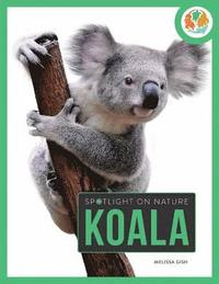 bokomslag Spotlight on Nature: Koala
