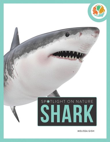 bokomslag Spotlight on Nature: Shark