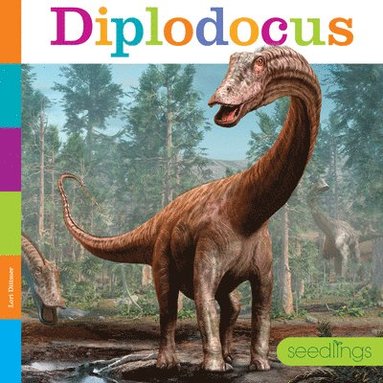 bokomslag Diplodocus